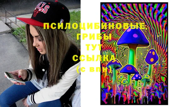 эйфоретик Алзамай