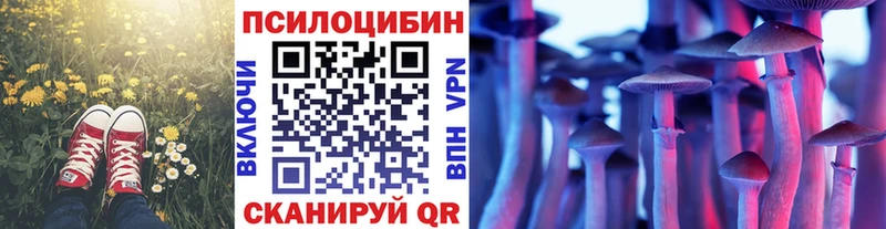 продажа наркотиков  Анапа  ОМГ ОМГ ССЫЛКА  Псилоцибиновые грибы MAGIC MUSHROOMS 