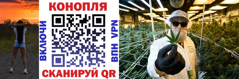 Конопля SATIVA & INDICA Анапа